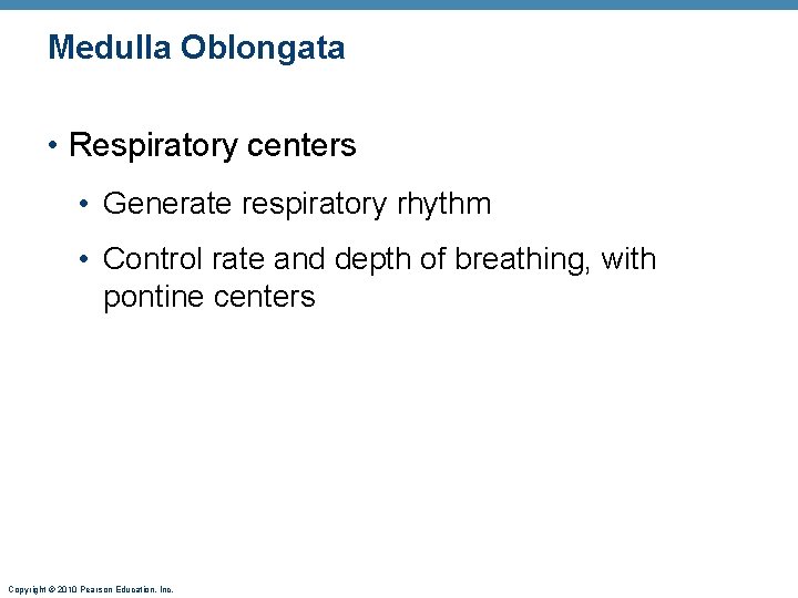 Medulla Oblongata • Respiratory centers • Generate respiratory rhythm • Control rate and depth