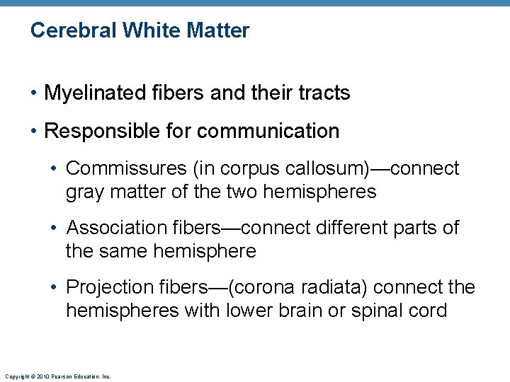 Cerebral White Matter • Myelinated fibers and their tracts • Responsible for communication •