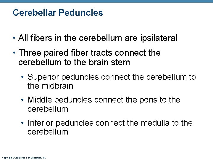 Cerebellar Peduncles • All fibers in the cerebellum are ipsilateral • Three paired fiber