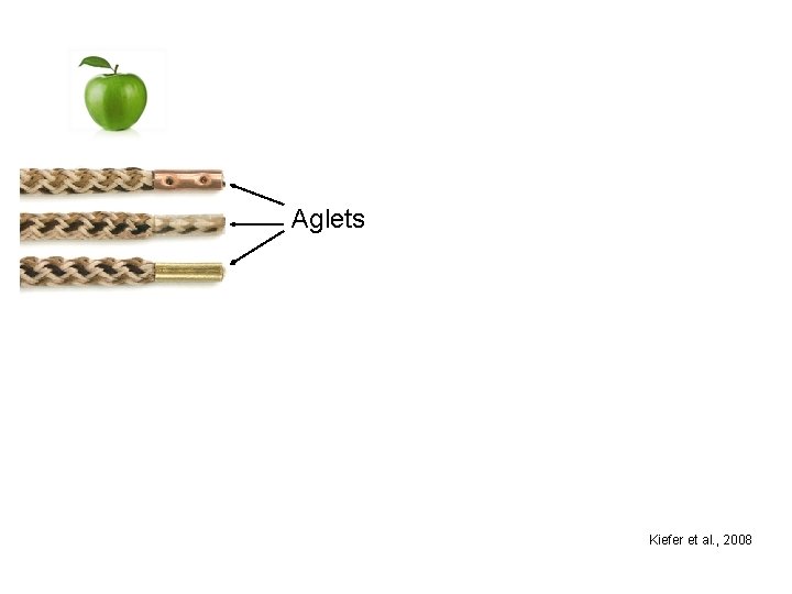 Aglets Kiefer et al. , 2008 