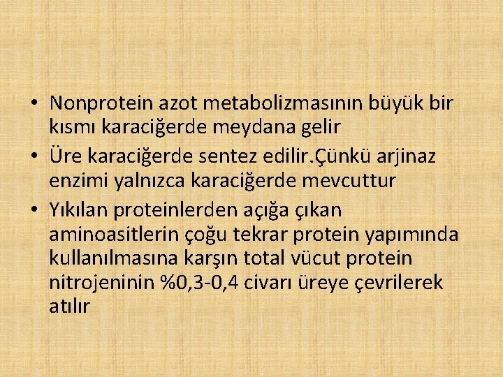  • Nonprotein azot metabolizmasının büyük bir kısmı karaciğerde meydana gelir • Üre karaciğerde