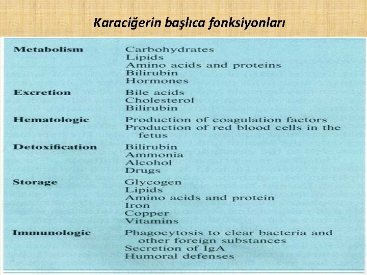 Karaciğerin başlıca fonksiyonları 