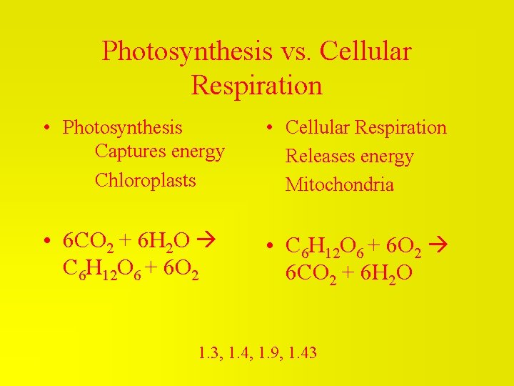 Photosynthesis vs. Cellular Respiration • Photosynthesis Captures energy Chloroplasts • Cellular Respiration Releases energy Photosynthesis vs. Cellular Respiration • Photosynthesis Captures energy Chloroplasts • Cellular Respiration Releases energy