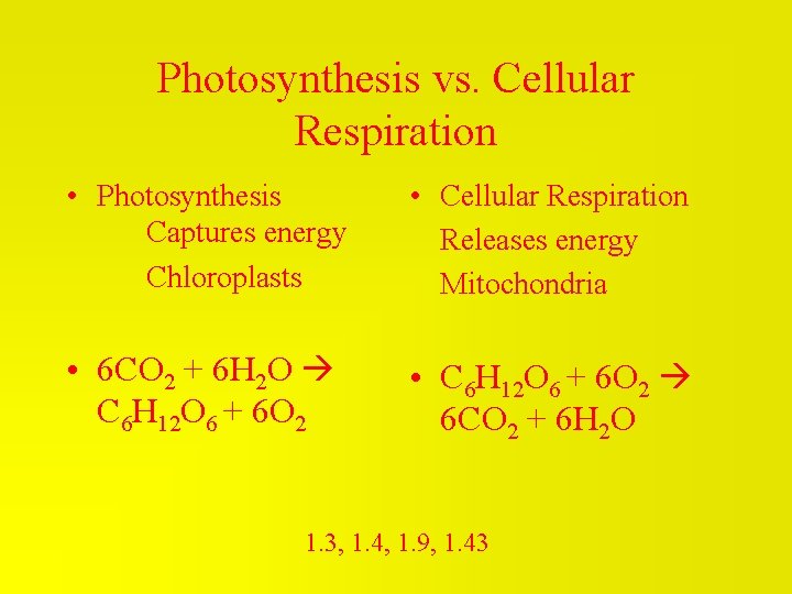 Photosynthesis vs. Cellular Respiration • Photosynthesis Captures energy Chloroplasts • Cellular Respiration Releases energy