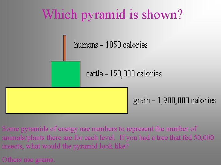 Which pyramid is shown? Some pyramids of energy use numbers to represent the number Which pyramid is shown? Some pyramids of energy use numbers to represent the number