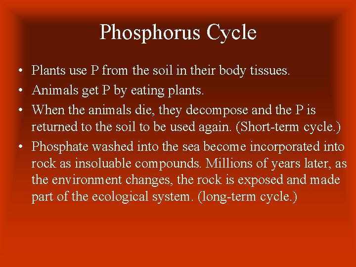 Phosphorus Cycle • Plants use P from the soil in their body tissues. • Phosphorus Cycle • Plants use P from the soil in their body tissues. •