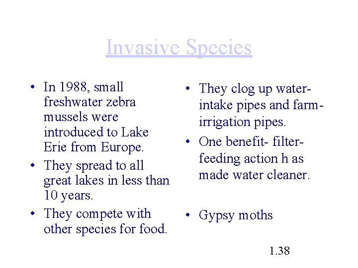 Invasive Species • In 1988, small freshwater zebra mussels were introduced to Lake Erie Invasive Species • In 1988, small freshwater zebra mussels were introduced to Lake Erie
