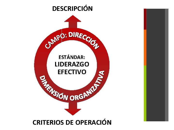 DESCRIPCIÓN ESTÁNDAR: LIDERAZGO EFECTIVO CRITERIOS DE OPERACIÓN 