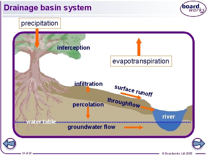 Drainage basin system precipitation interception evapotranspiration infiltration surfa ce ru throug hflow percolation water