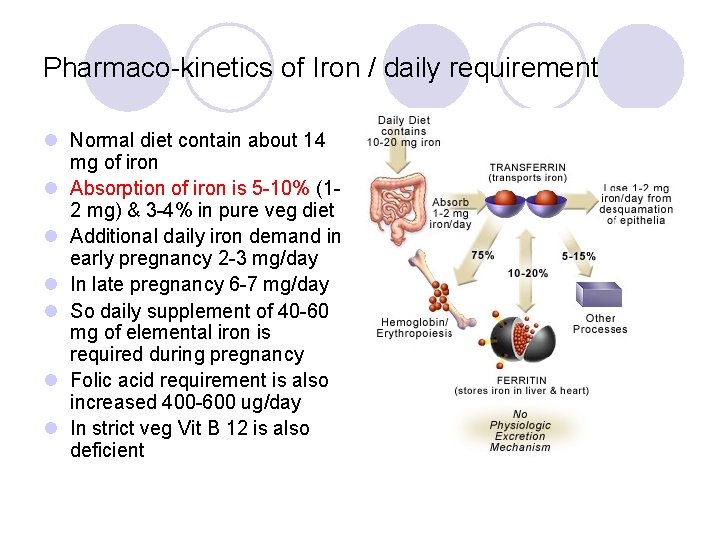 Pharmaco-kinetics of Iron / daily requirement l Normal diet contain about 14 mg of