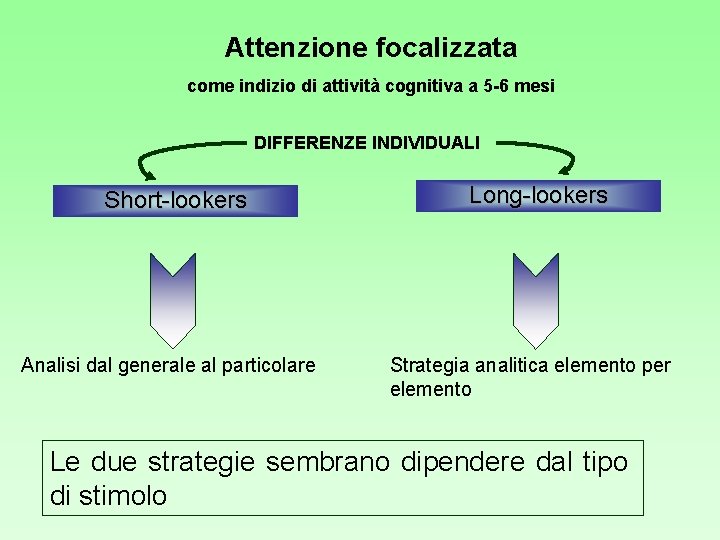 Attenzione focalizzata come indizio di attività cognitiva a 5 -6 mesi DIFFERENZE INDIVIDUALI Short-lookers