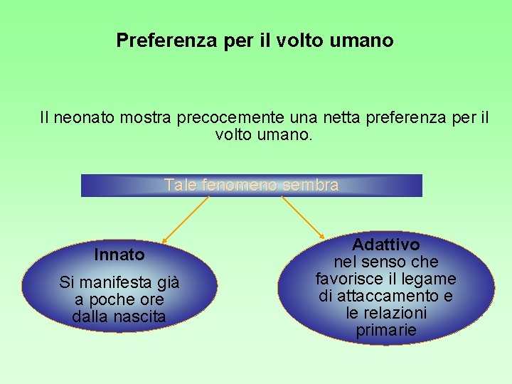 Preferenza per il volto umano Il neonato mostra precocemente una netta preferenza per il