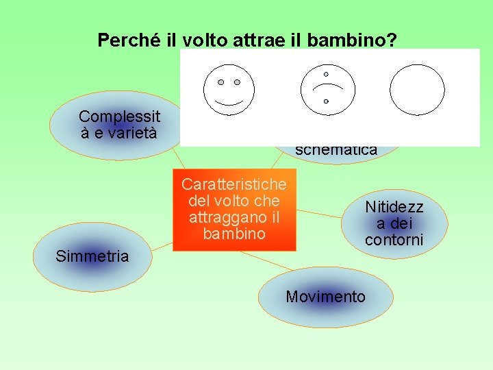 Perché il volto attrae il bambino? Regolarità nella struttura schematica Complessit à e varietà