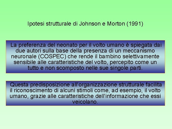 Ipotesi strutturale di Johnson e Morton (1991) La preferenza del neonato per il volto