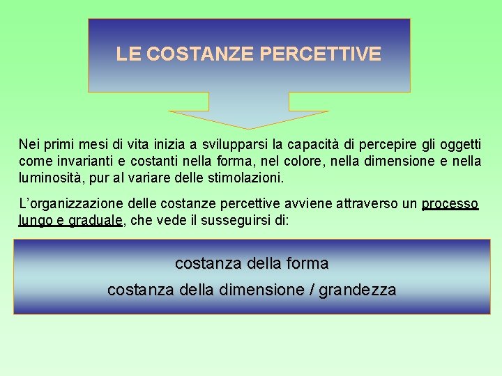 LE COSTANZE PERCETTIVE Nei primi mesi di vita inizia a svilupparsi la capacità di