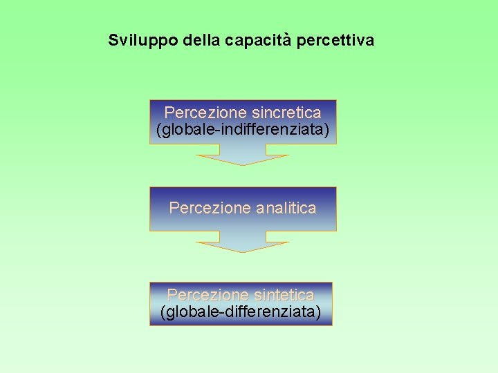 Sviluppo della capacità percettiva Percezione sincretica (globale-indifferenziata) Percezione analitica Percezione sintetica (globale-differenziata) 