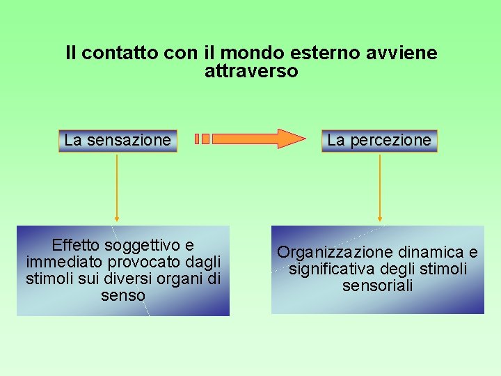 Il contatto con il mondo esterno avviene attraverso La sensazione Effetto soggettivo e immediato