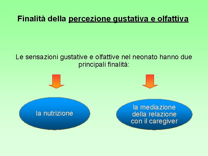 Finalità della percezione gustativa e olfattiva Le sensazioni gustative e olfattive nel neonato hanno