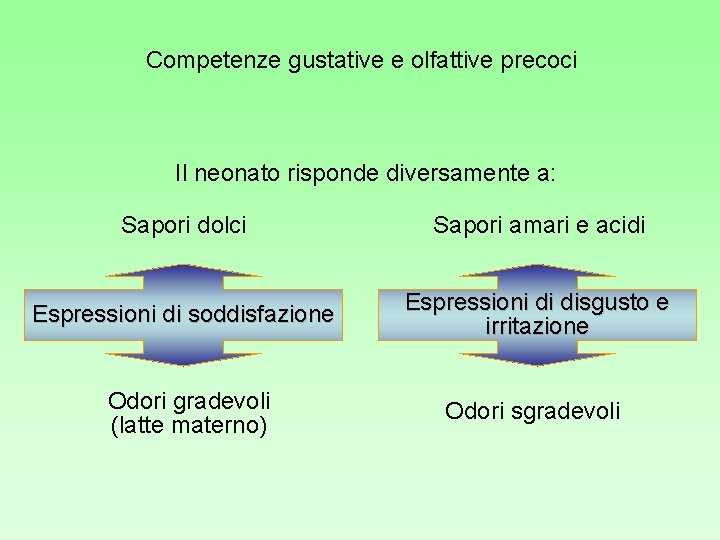 Competenze gustative e olfattive precoci Il neonato risponde diversamente a: Sapori dolci Sapori amari