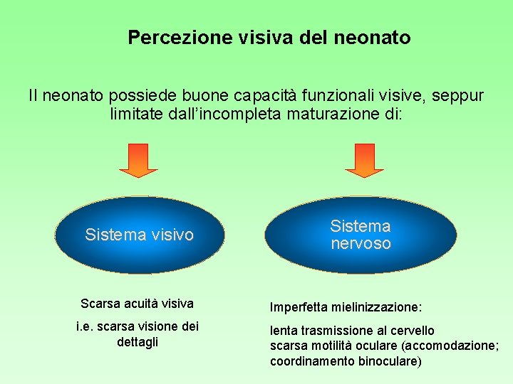 Percezione visiva del neonato Il neonato possiede buone capacità funzionali visive, seppur limitate dall’incompleta