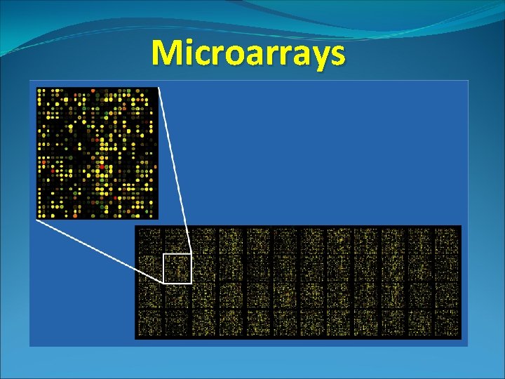 Microarrays 