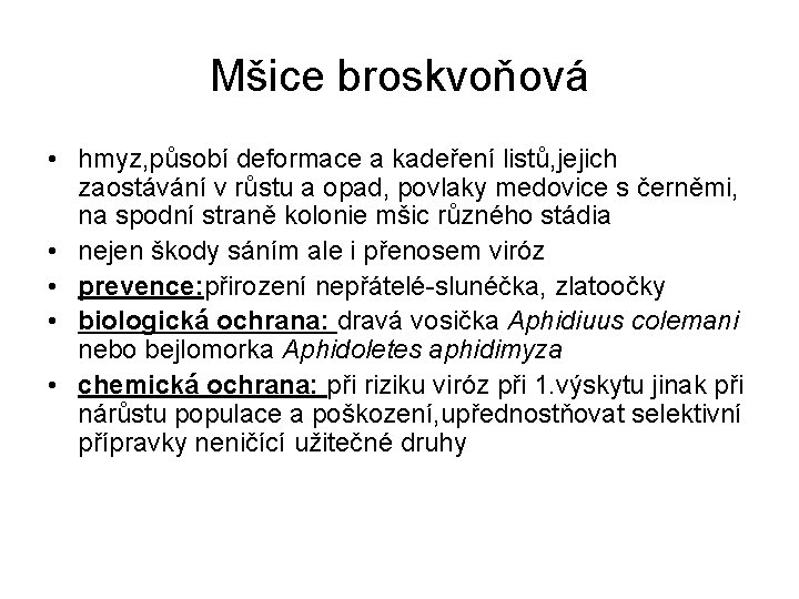 Mšice broskvoňová • hmyz, působí deformace a kadeření listů, jejich zaostávání v růstu a