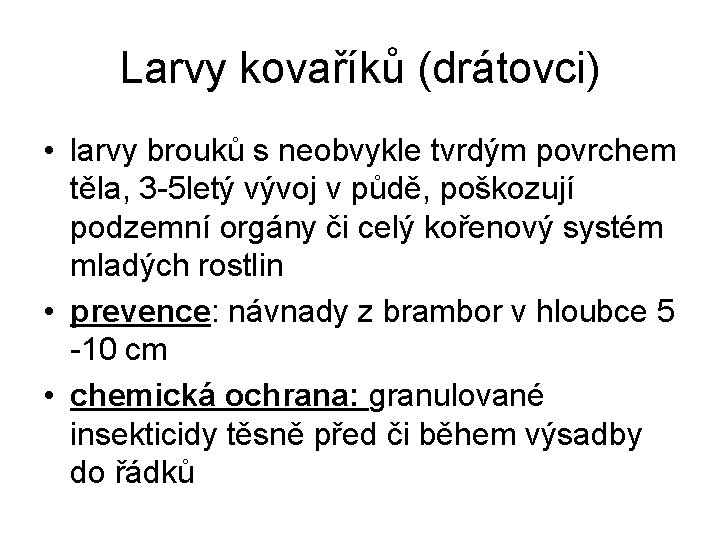 Larvy kovaříků (drátovci) • larvy brouků s neobvykle tvrdým povrchem těla, 3 -5 letý