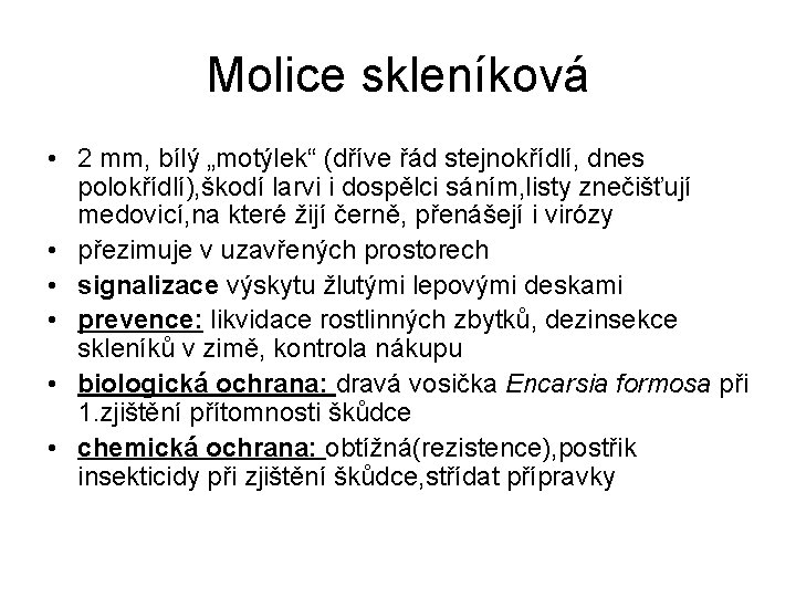 Molice skleníková • 2 mm, bílý „motýlek“ (dříve řád stejnokřídlí, dnes polokřídlí), škodí larvi