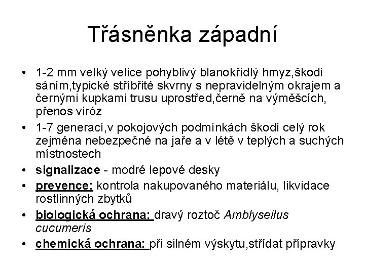 Třásněnka západní • 1 -2 mm velký velice pohyblivý blanokřídlý hmyz, škodí sáním, typické