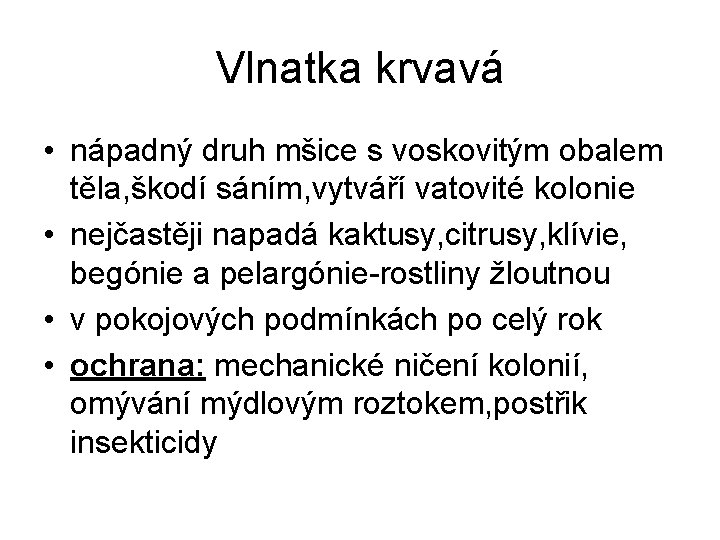 Vlnatka krvavá • nápadný druh mšice s voskovitým obalem těla, škodí sáním, vytváří vatovité