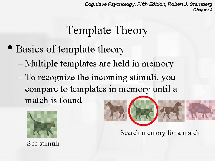 Cognitive Psychology, Fifth Edition, Robert J. Sternberg Chapter 3 Template Theory • Basics of