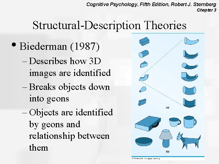 Cognitive Psychology, Fifth Edition, Robert J. Sternberg Chapter 3 Structural-Description Theories • Biederman (1987)