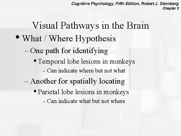 Cognitive Psychology, Fifth Edition, Robert J. Sternberg Chapter 3 Visual Pathways in the Brain