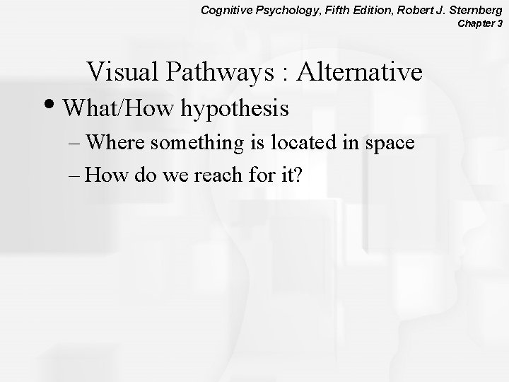 Cognitive Psychology, Fifth Edition, Robert J. Sternberg Chapter 3 Visual Pathways : Alternative •