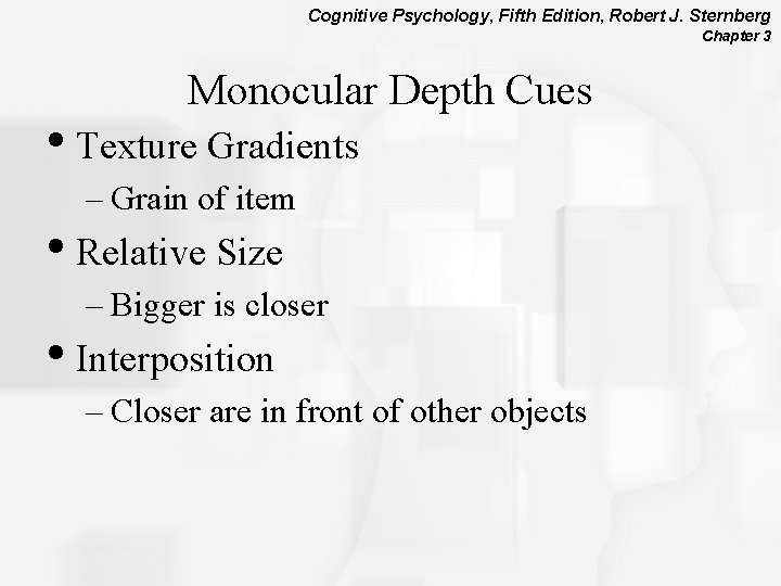 Cognitive Psychology, Fifth Edition, Robert J. Sternberg Chapter 3 Monocular Depth Cues • Texture