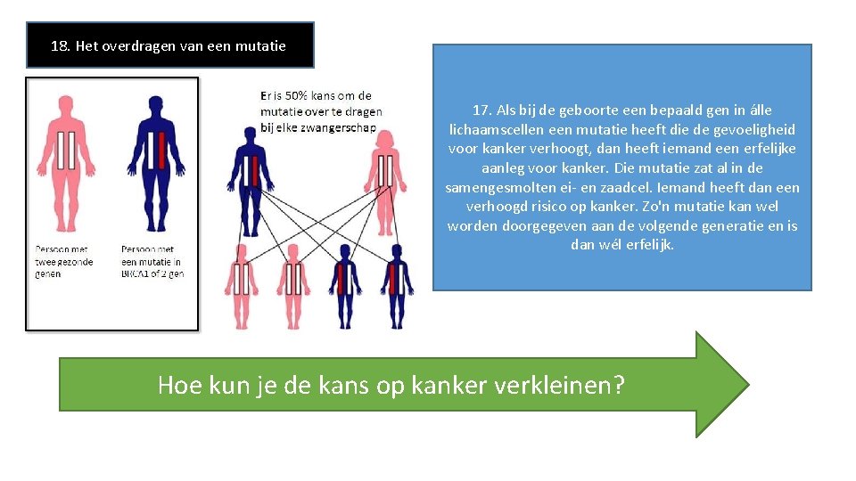 18. Het overdragen van een mutatie 17. Als bij de geboorte een bepaald gen