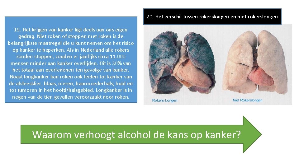 20. Het verschil tussen rokerslongen en niet-rokerslongen 19. Het krijgen van kanker ligt deels