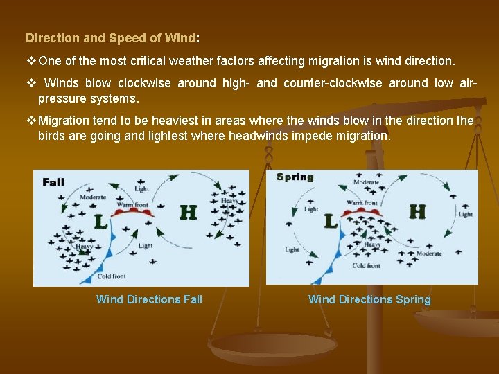 Direction and Speed of Wind: v One of the most critical weather factors affecting