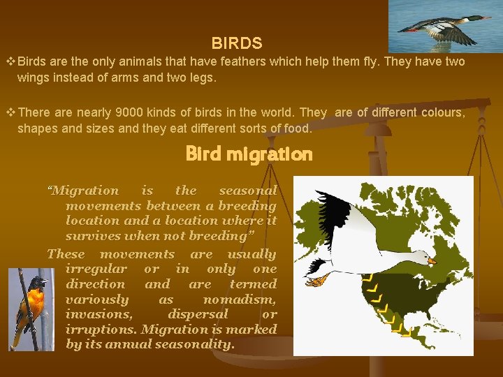 BIRDS v Birds are the only animals that have feathers which help them fly.