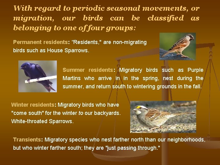 With regard to periodic seasonal movements, or migration, our birds can be classified as