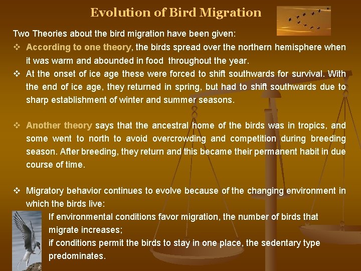 Evolution of Bird Migration Two Theories about the bird migration have been given: v