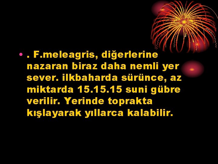  • . F. meleagris, diğerlerine nazaran biraz daha nemli yer sever. ilkbaharda sürünce,