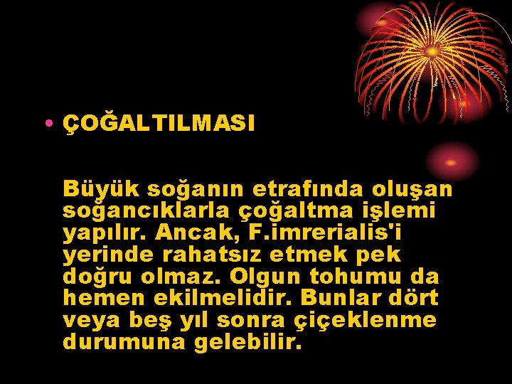  • ÇOĞALTILMASI Büyük soğanın etrafında oluşan soğancıklarla çoğaltma işlemi yapılır. Ancak, F. imrerialis'i
