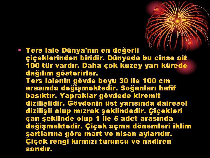  • Ters lale Dünya'nın en değerli çiçeklerinden biridir. Dünyada bu cinse ait 100