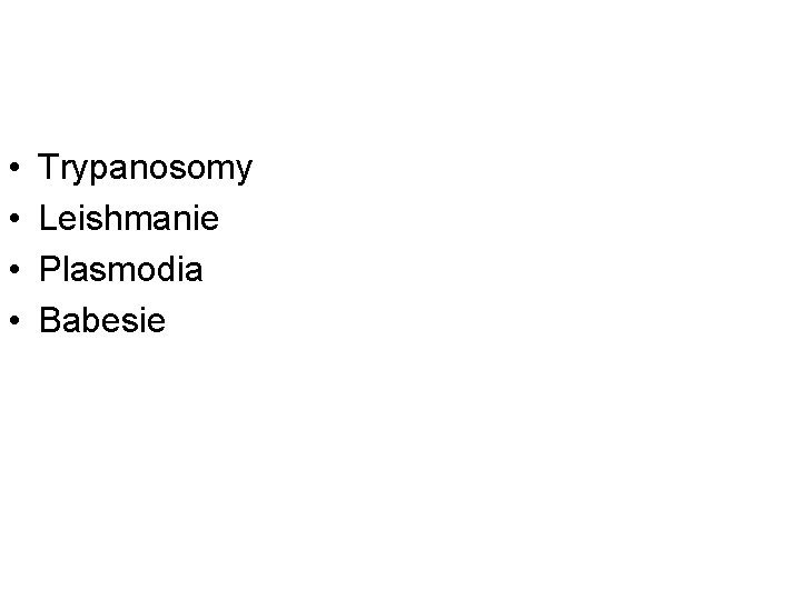  • • Trypanosomy Leishmanie Plasmodia Babesie 