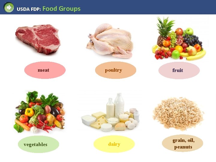 USDA FDP: Food Groups meat vegetables poultry dairy fruit grain, oil, peanuts 