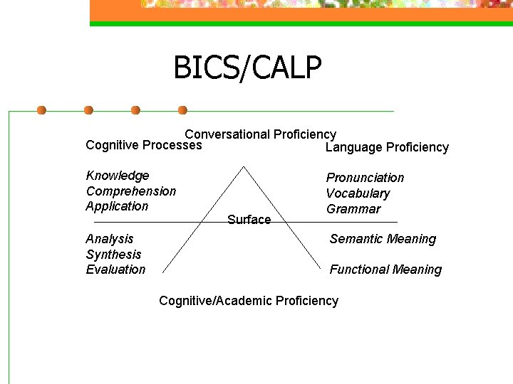 BICS/CALP Conversational Proficiency Cognitive Processes Language Proficiency Knowledge Comprehension Application Analysis Synthesis Evaluation Surface