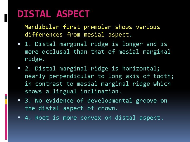 DISTAL ASPECT Mandibular first premolar shows various differences from mesial aspect. 1. Distal marginal