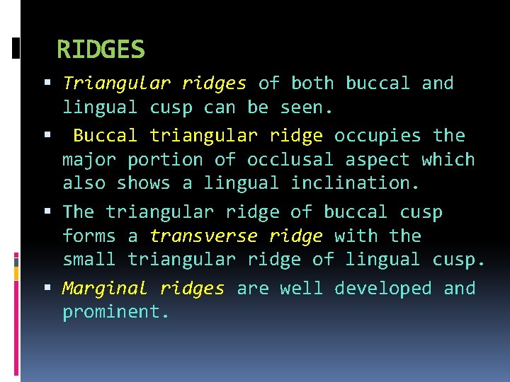 RIDGES Triangular ridges of both buccal and lingual cusp can be seen. Buccal triangular