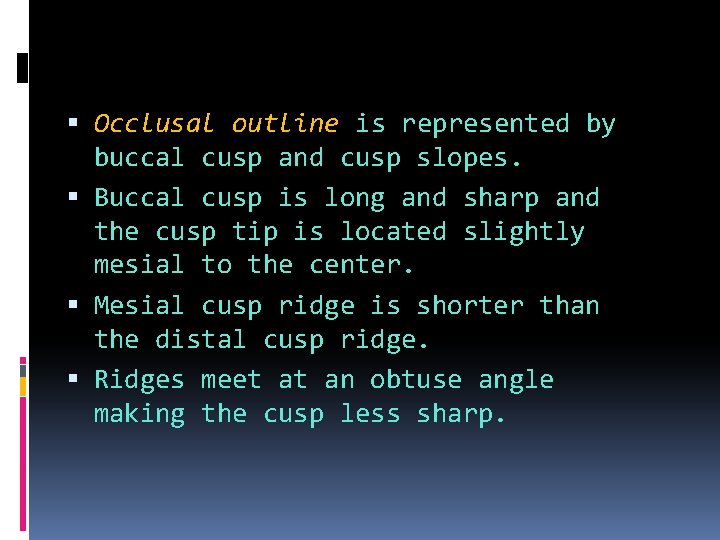  Occlusal outline is represented by buccal cusp and cusp slopes. Buccal cusp is
